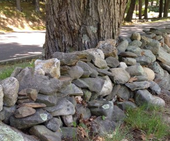 stone-wall