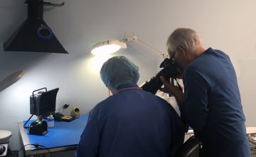 Al Ferreira at work