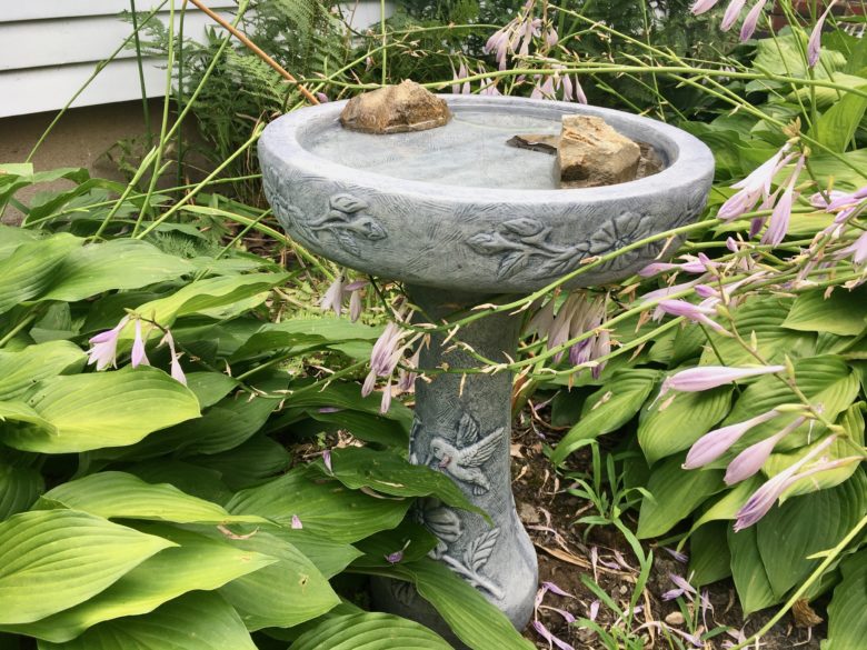 massarelli-bird-bath